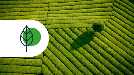 icon climate 30.png