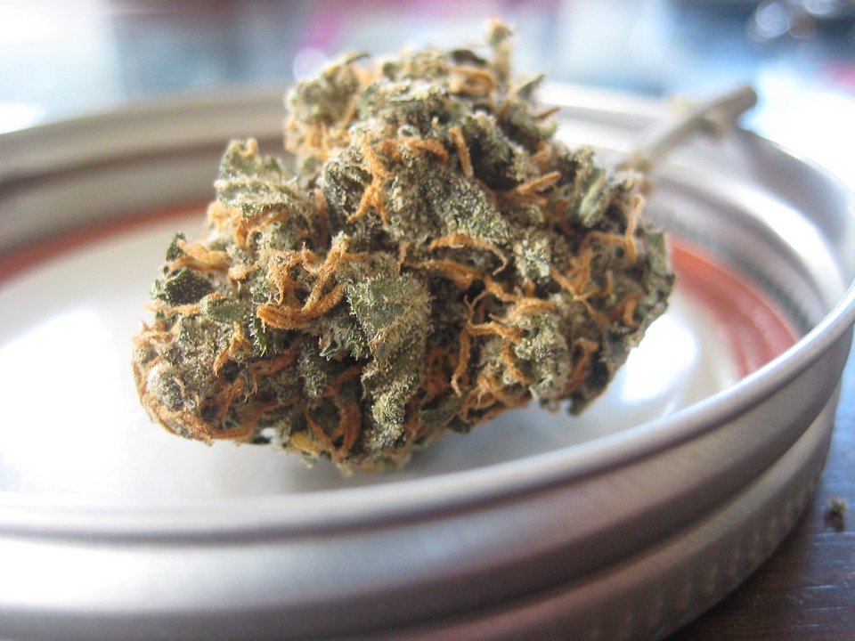 hemp